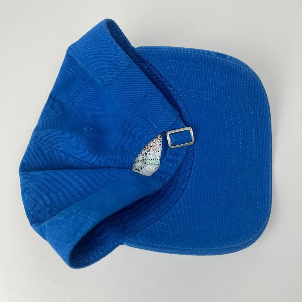 Rick and Morty Hat Unisex OS Adult Swim Blue Embroidered Patch EUC